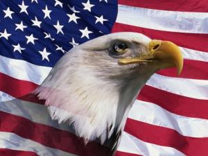 Veteran's Day